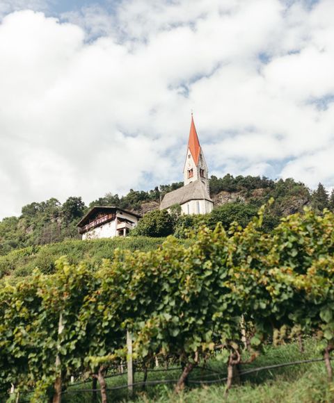 Der Ausblick von der Apfelwiese