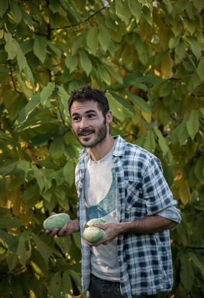 Simon zeigt seine Asimina-Früchte