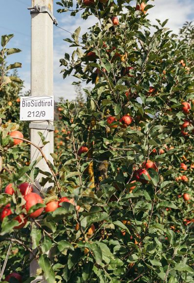 -bp-544933-c-benjamin-pfitscher