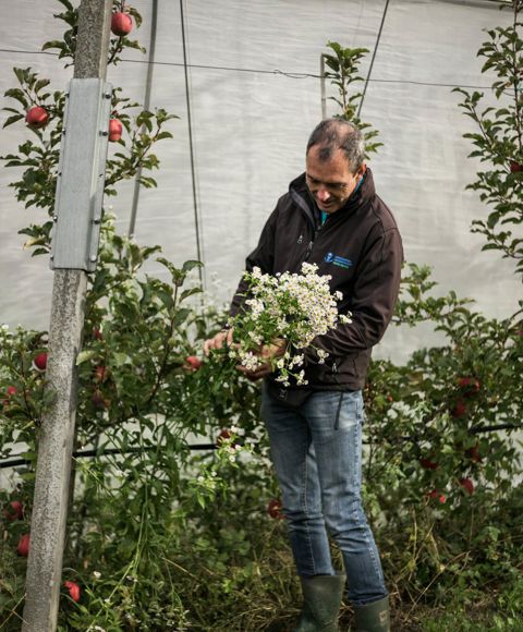 Martin Huber bei der Arbeit