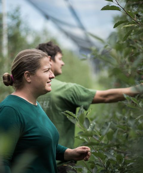 Evi & Martin al lavoro