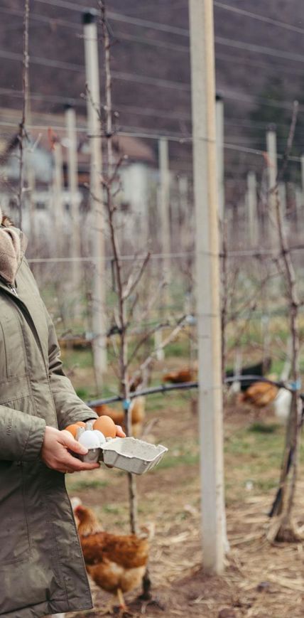 L’eclettica. Sissy Pfeifer.