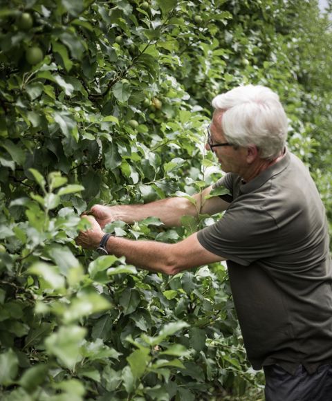 Hubert Ebner bei der Arbeit