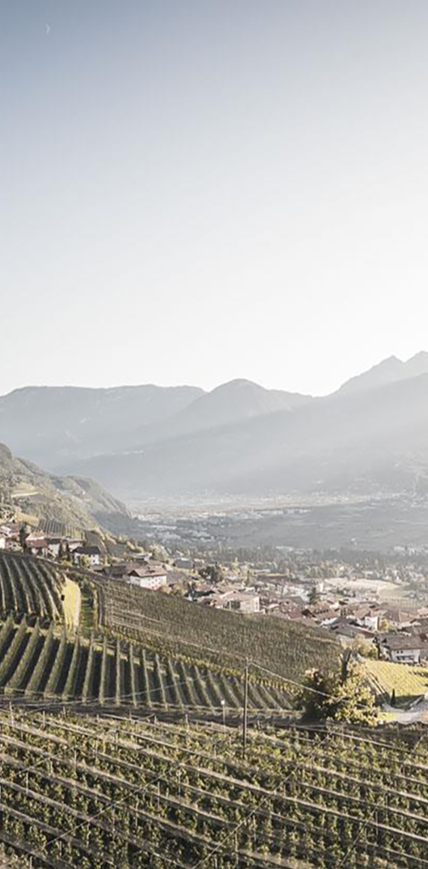 L'Alto Adige è il mondo delle mele