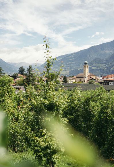 -bp-581147-c-benjamin-pfitscher