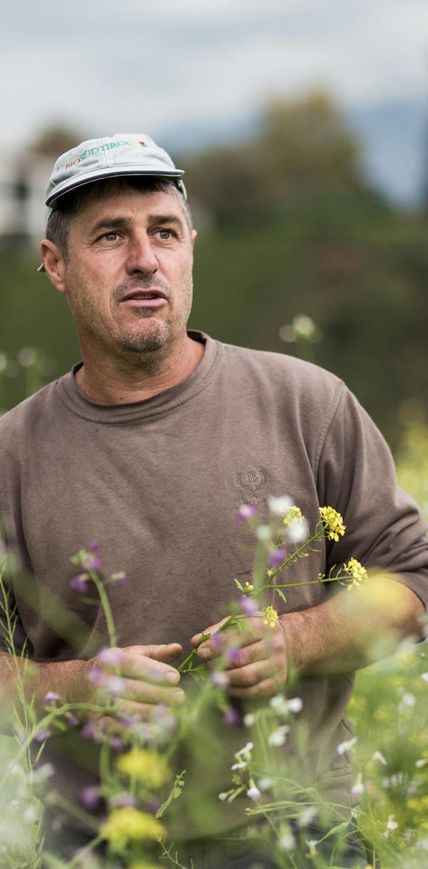 L’impegnato. Josef Meraner.