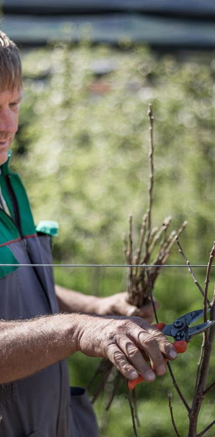 The Thoughtful Farmer. Leo Vaja.