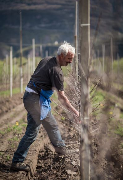 Hartmann Calliari bei der Arbeit