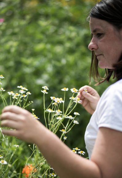Magdalena e le sue erbe