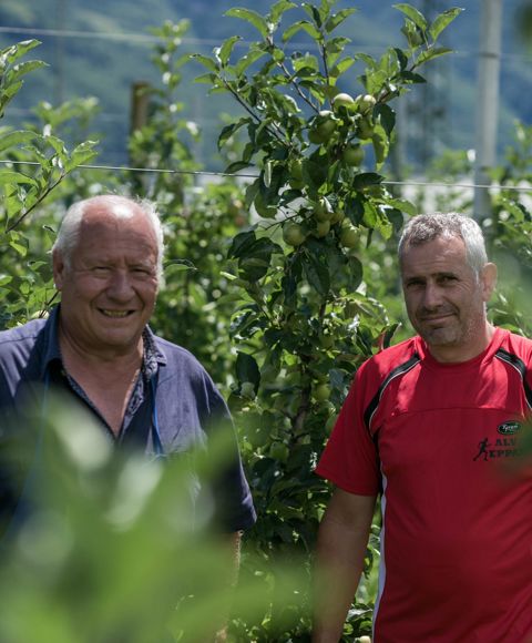 Helmuth & Klaus Alessandrini