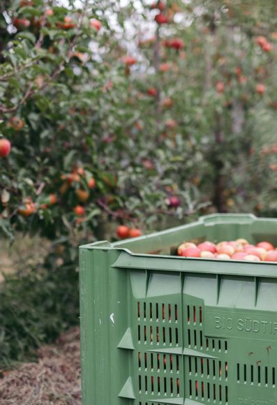 -bp-545052-c-benjamin-pfitscher