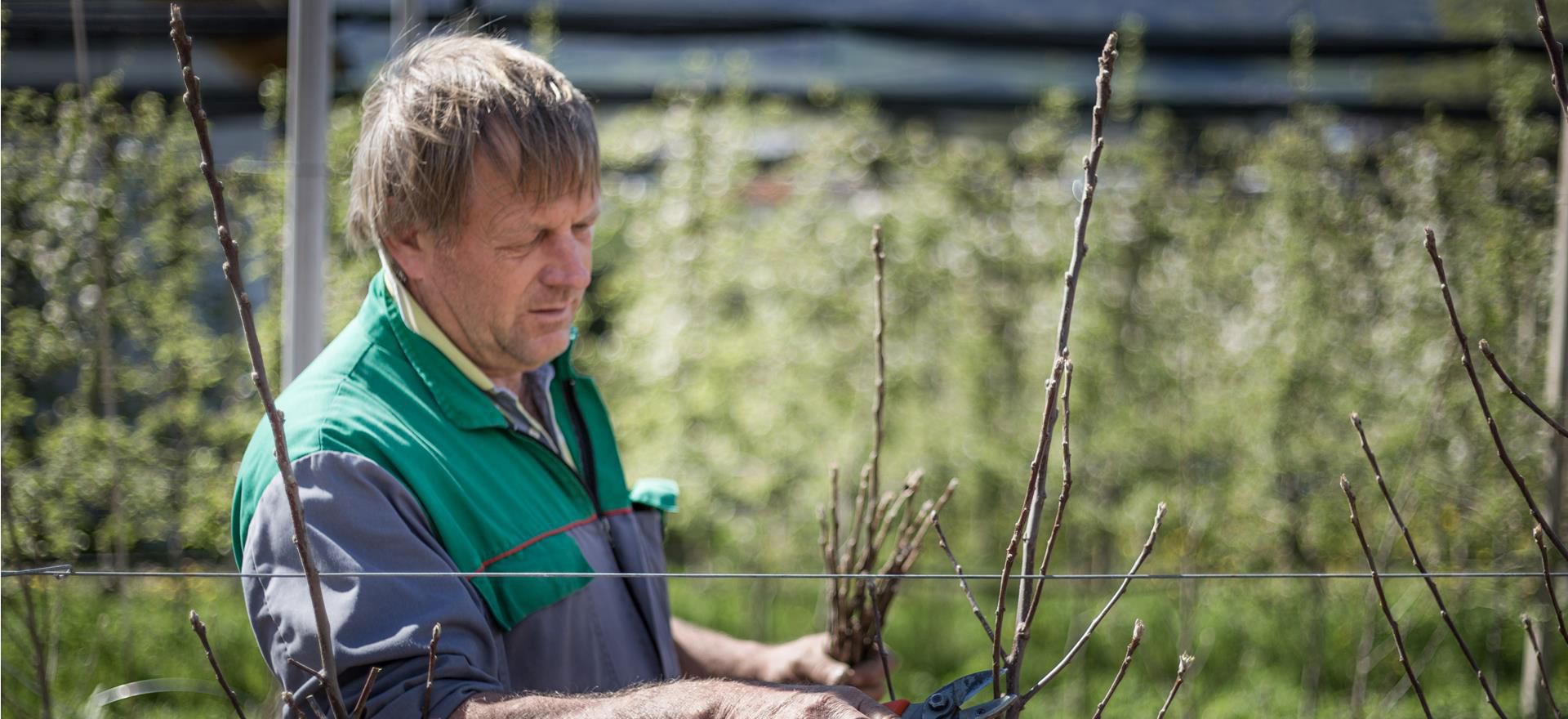 biosuedtirol-2018-124