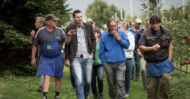 Helmuth Alessandrini shows his orchard to a group of people