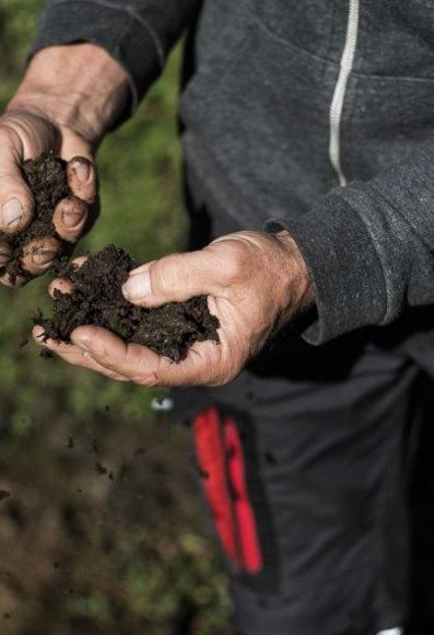 Ein gesunder Boden ist das Wichtigste