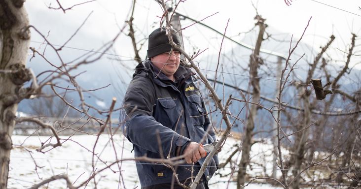 Johannes Gostner svolge la potatura