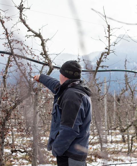 Johannes Gostner svolge la potatura