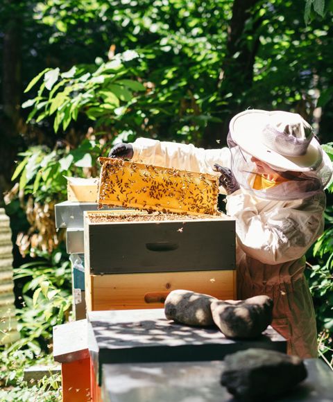 Julia Stampfer is also a beekeeper