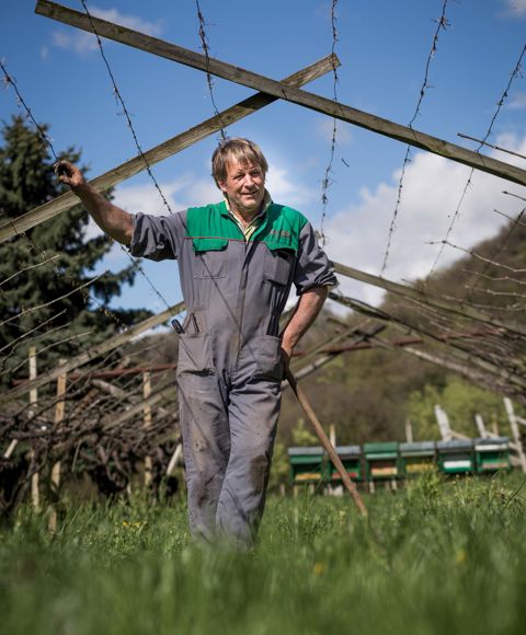 biosuedtirol-2018-128