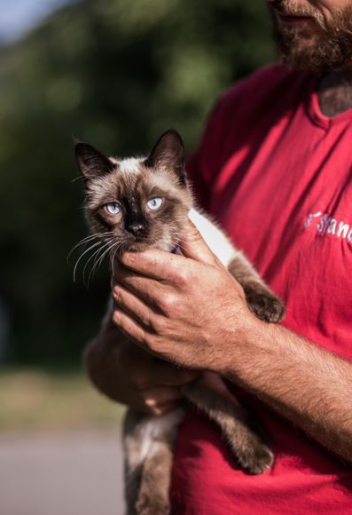 Franz Josef Mair with a cat