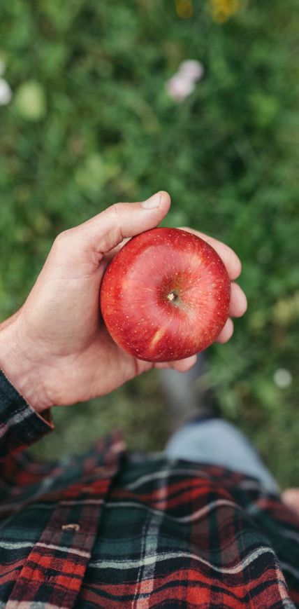 A man holds a red apple in his hand