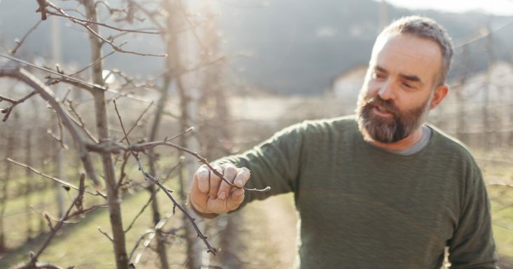 Hannes Felder Marth al lavoro