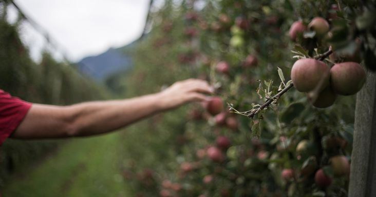 Franz Josef Mair at work