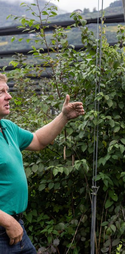 Die Frohnatur. Thomas Hafner.